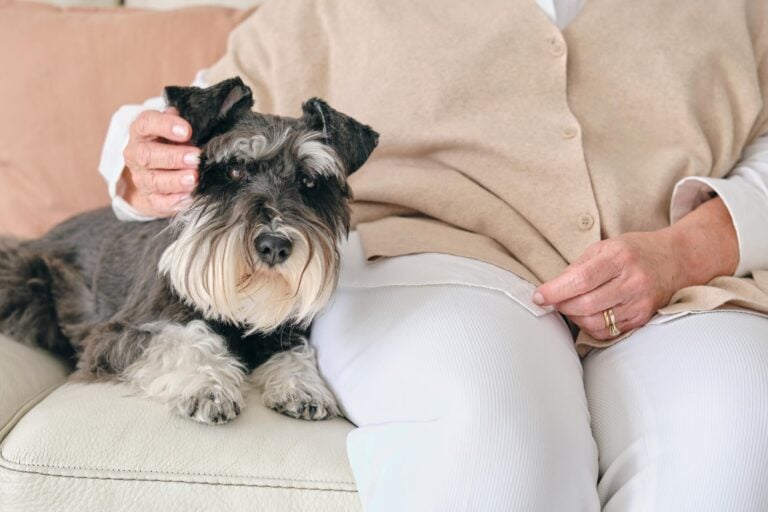 Elderly Woman Petting Her Small Dog inside Independent Living Facility