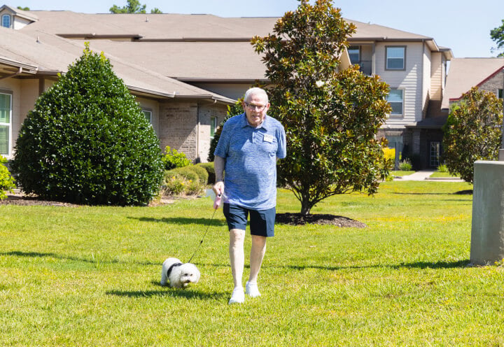 Elderly Man Walking His Small White Dog on a Sunny Lawn at an Independent Living Community Elderly Man Walking His Small White Dog on a Sunny Lawn at an Independent Living Community